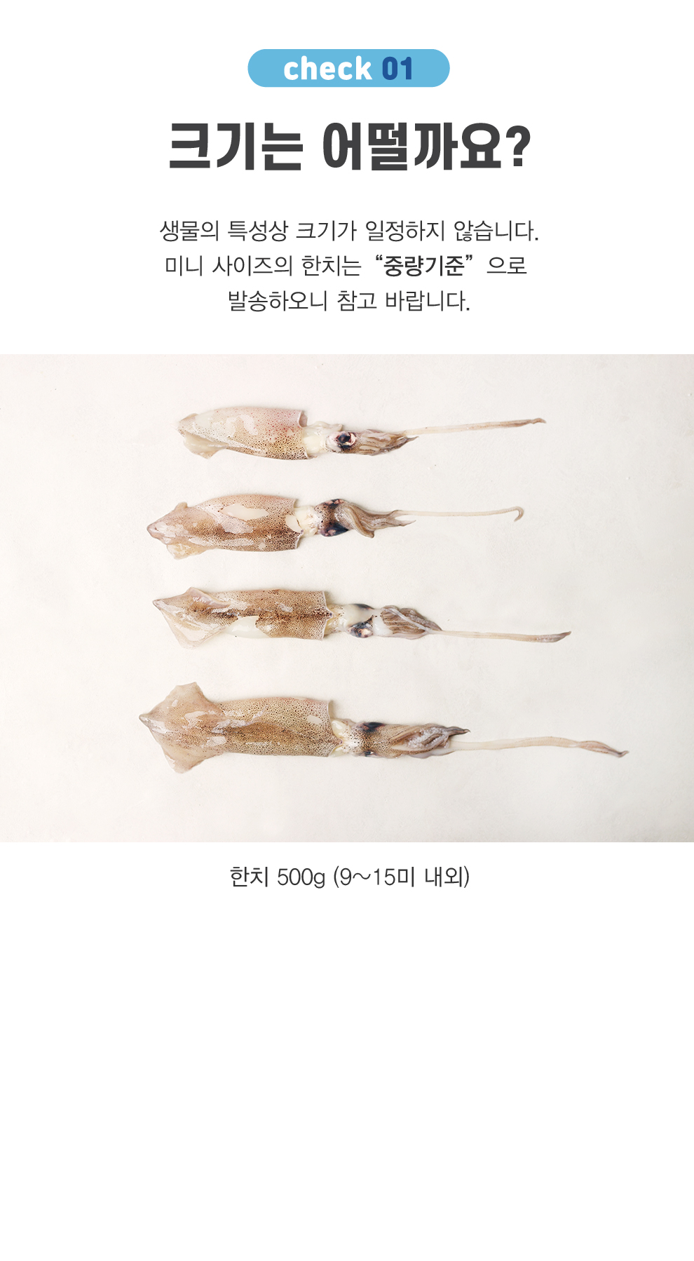 한치(원양산)-04.jpg