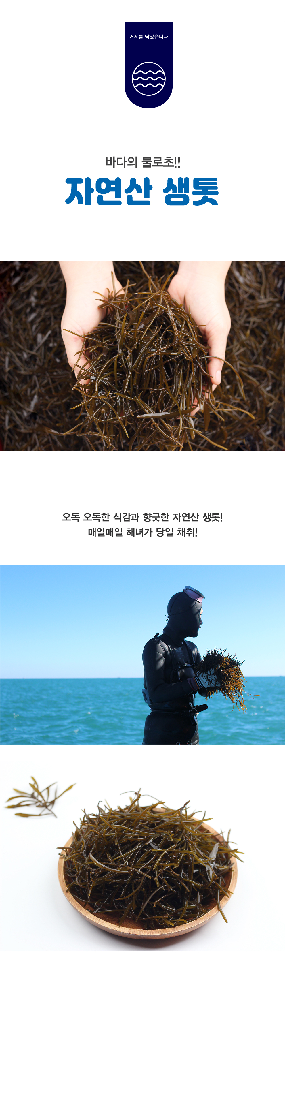 톳-01.jpg