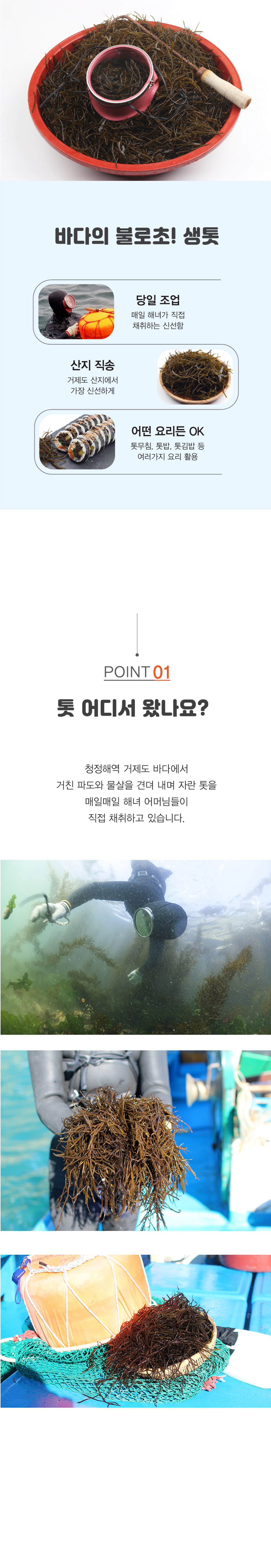 톳-03.jpg