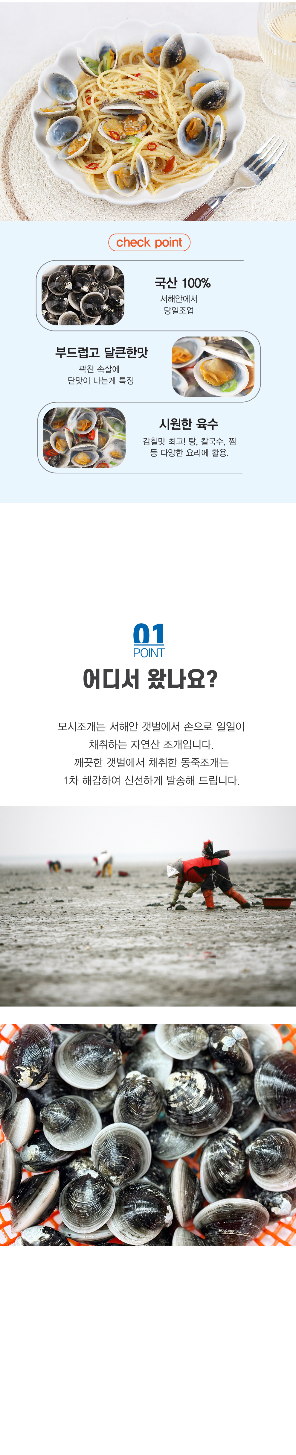 모시조개-02.jpg