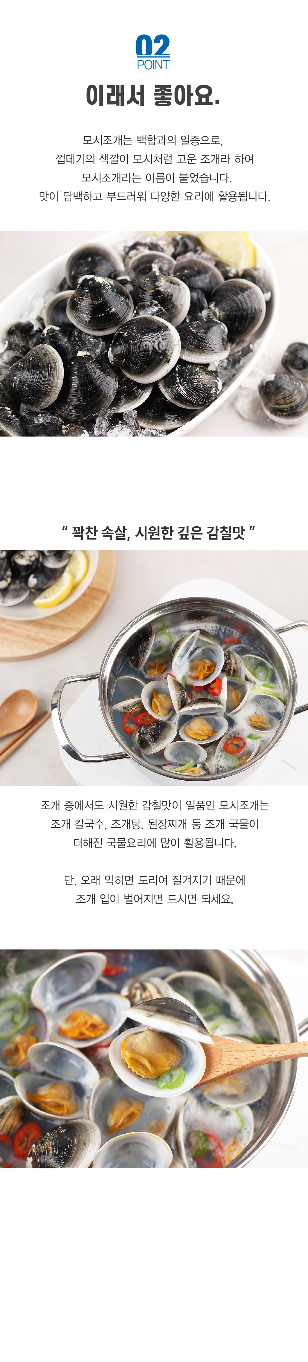 모시조개-03.jpg