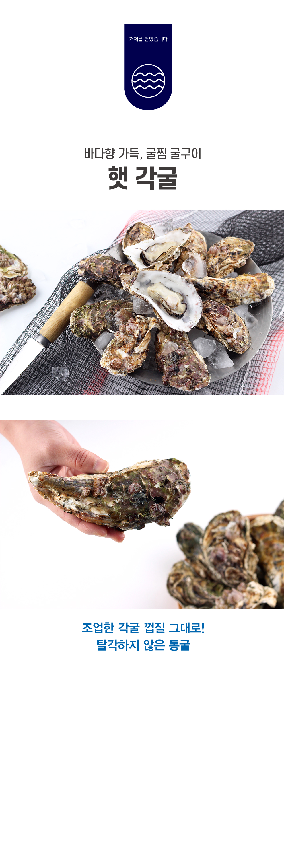 각굴수정-01.jpg