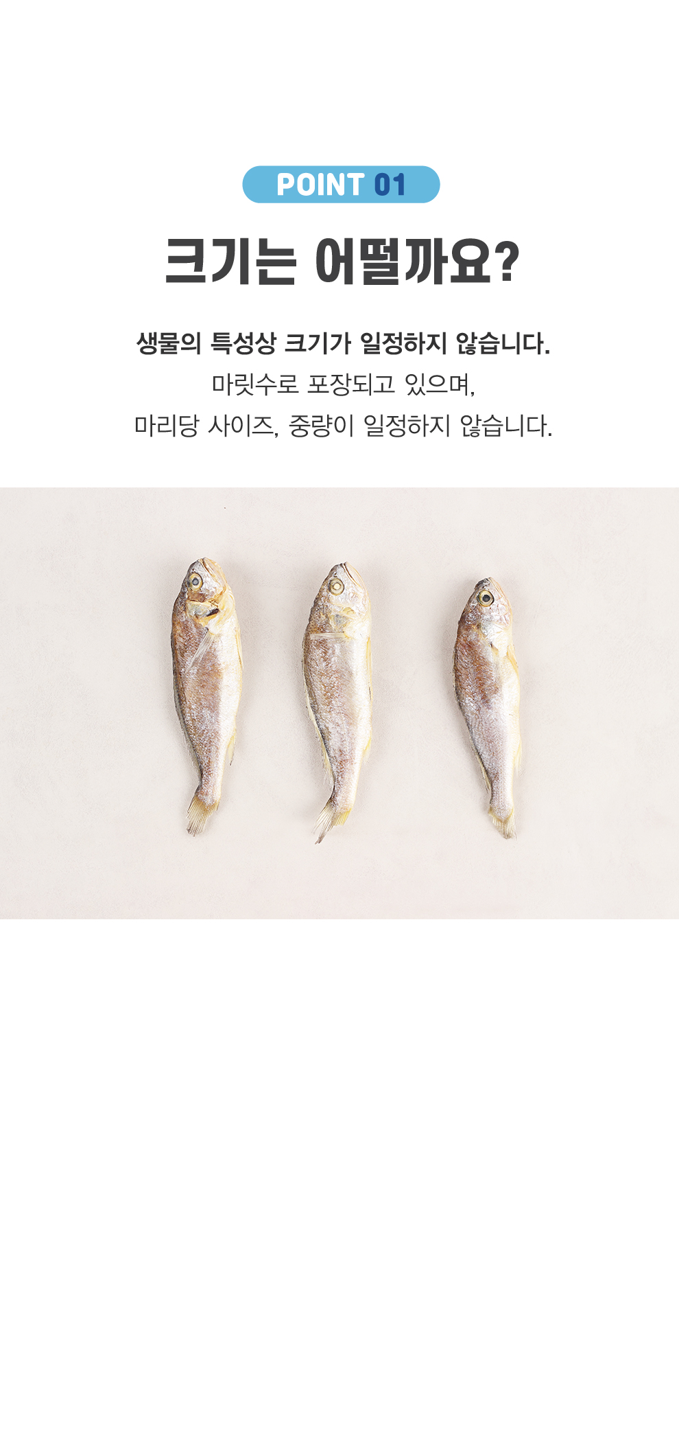 국산 참조기-04.jpg