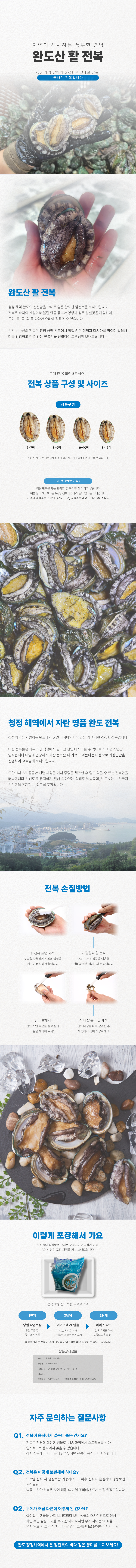 활전복.png