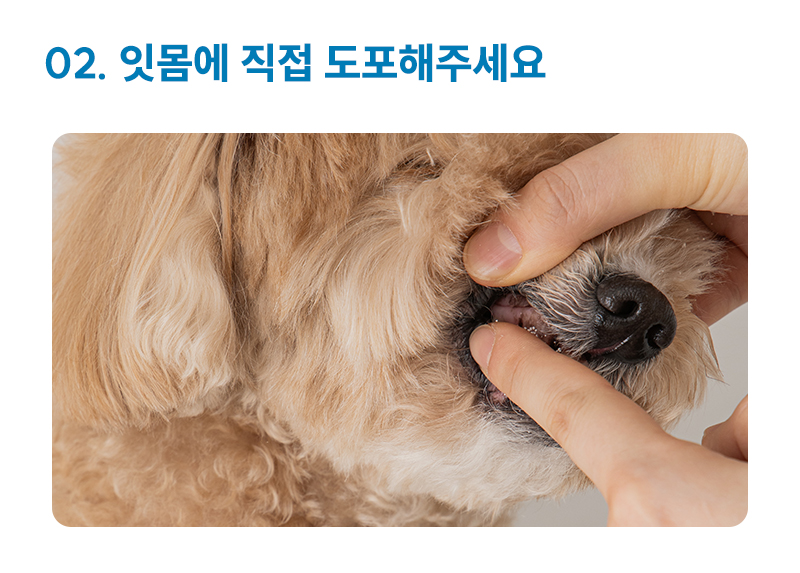 오랄이펙트프로바이오틱스11.jpg