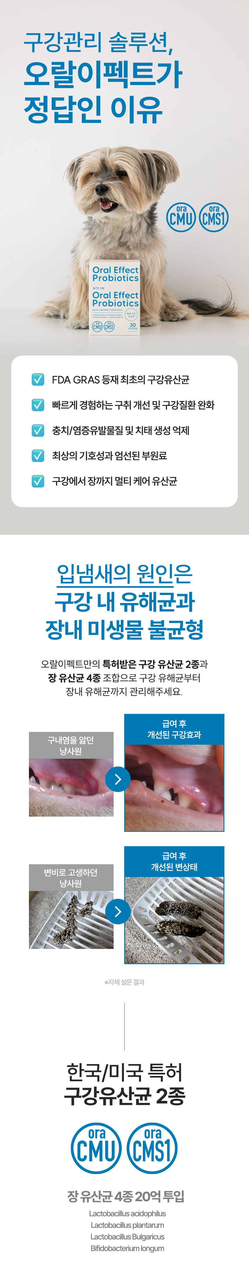 오랄이펙트프로바이오틱스3.jpg