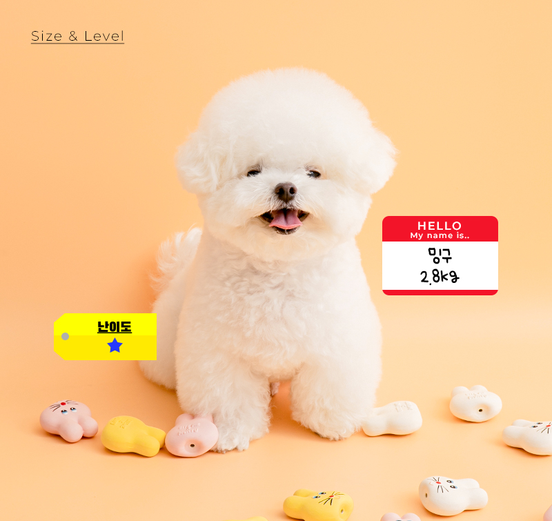 무뉴 라텍스 5.jpg