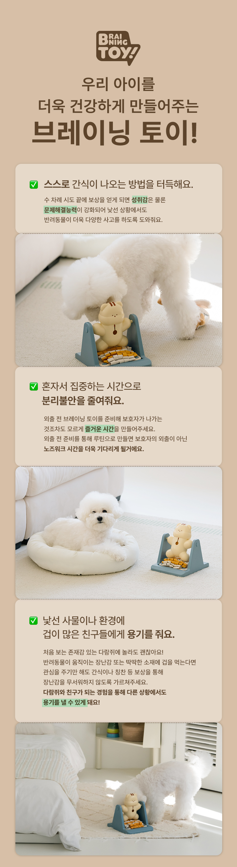 브레이닝 토이 다람쥐_4_01.jpg