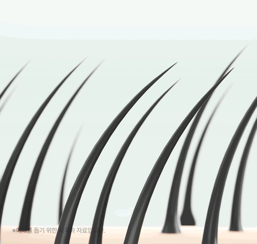 11.gif