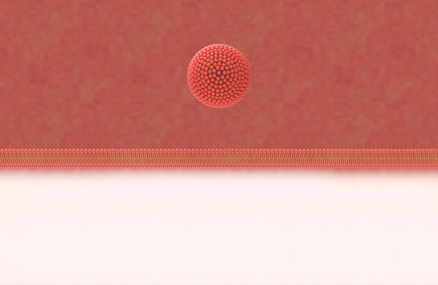 22_gif.gif