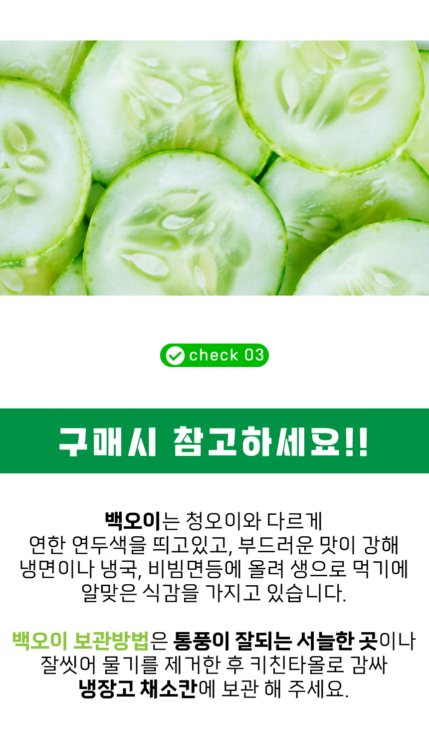 D_백오이-03.jpg
