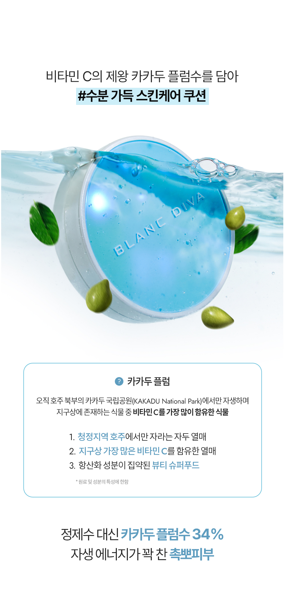 2024_워터벨벳쿠션02(모델교체)_01.jpg