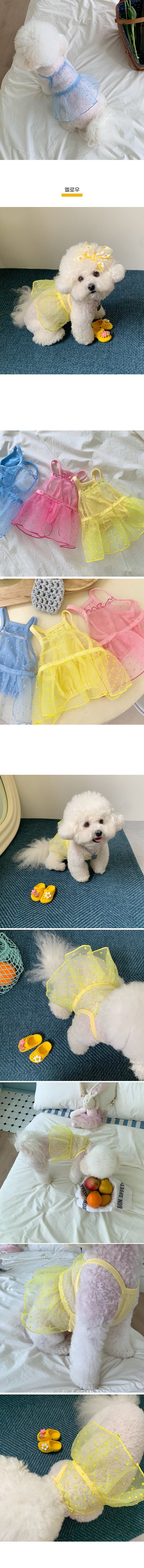 02땡땡이 시스루 나시원피스.jpg