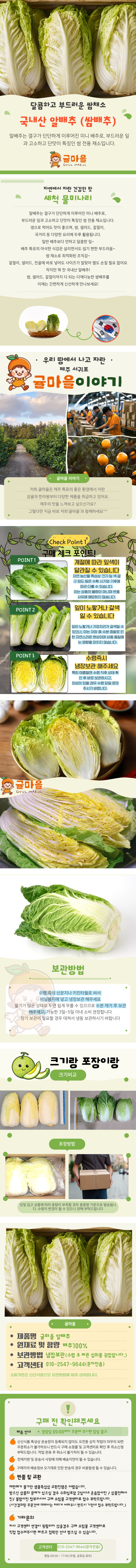 알배추상세.jpg