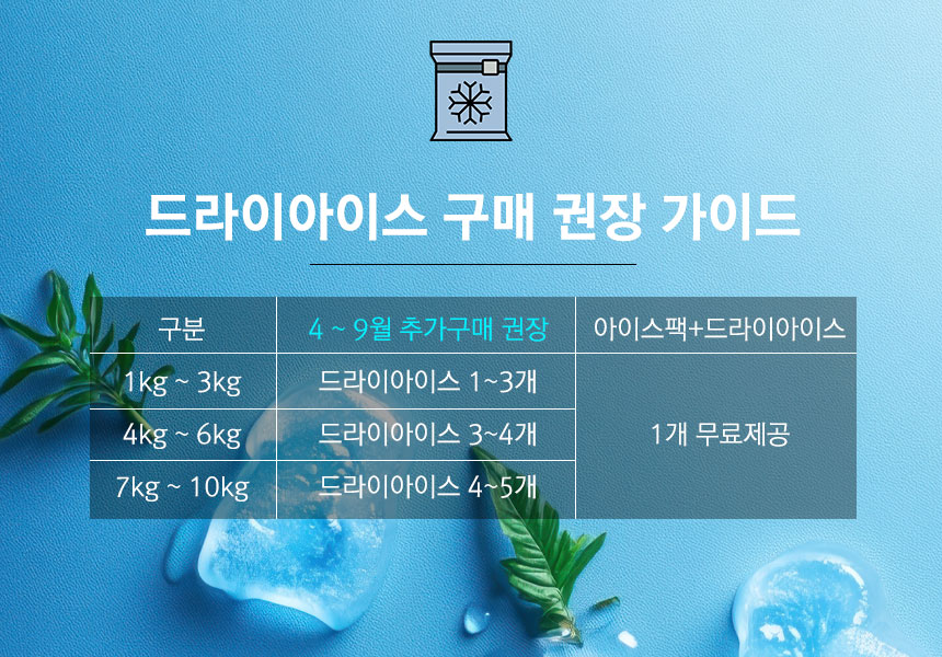 드라이아이스.jpg