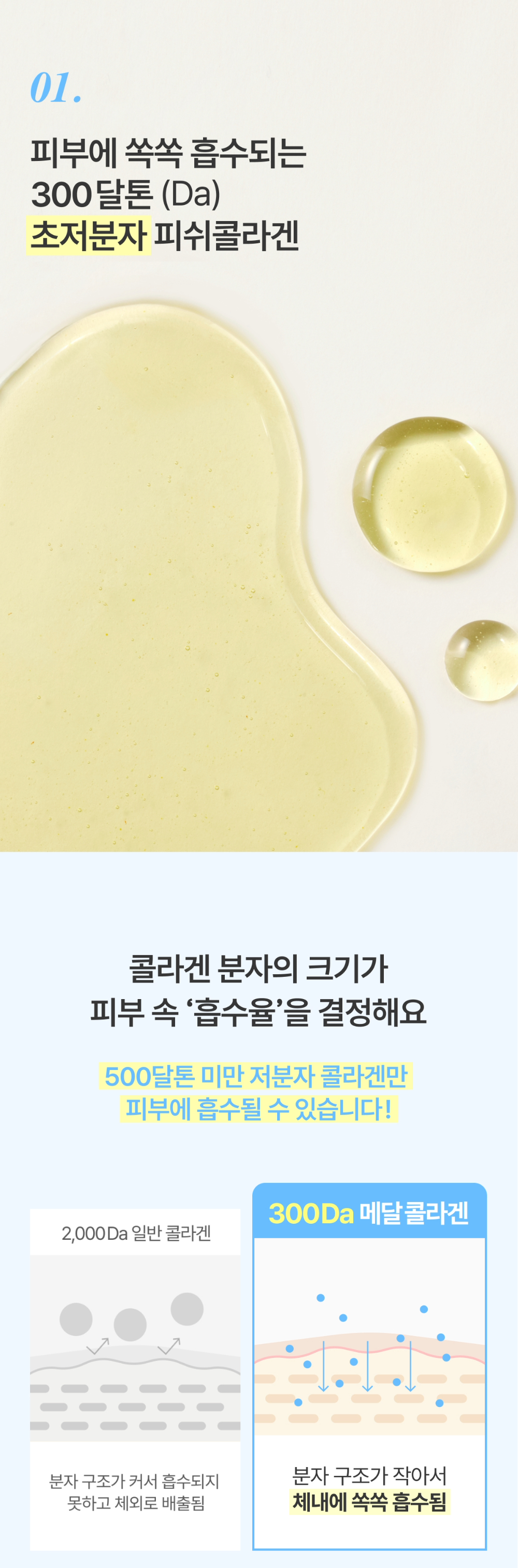 MEDAL_Collagen06.jpg