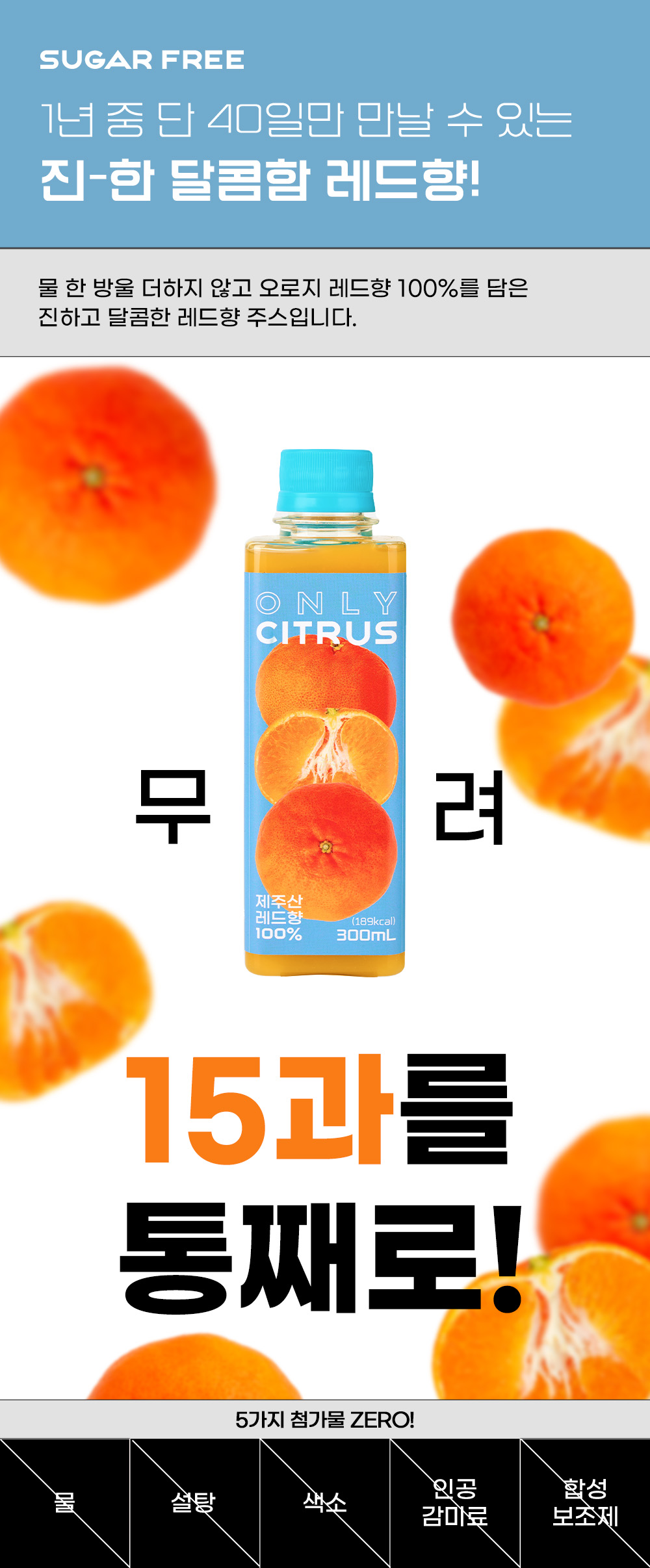 01_레드향.jpg