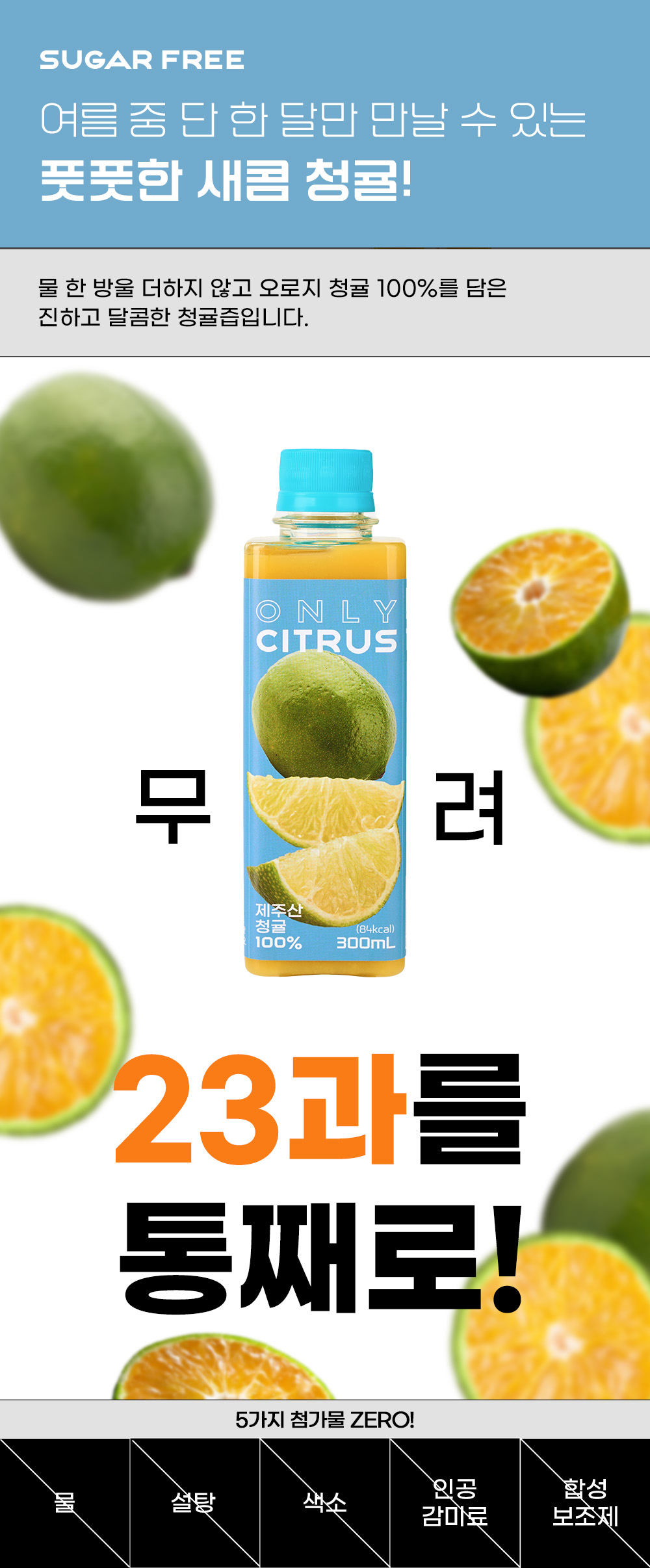 01_청귤.jpg