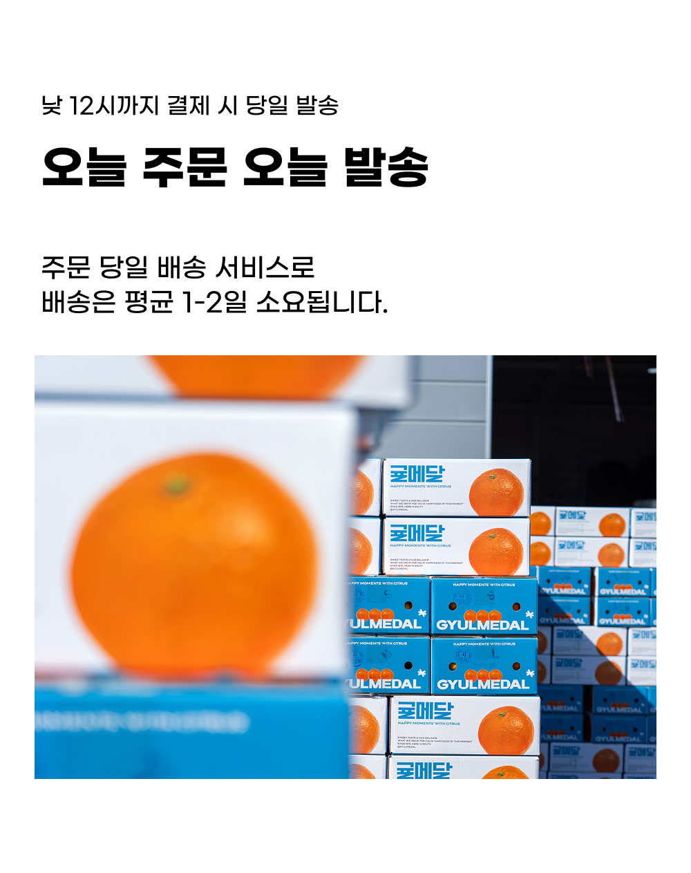 당일배송_12시까지_2025ver.jpg