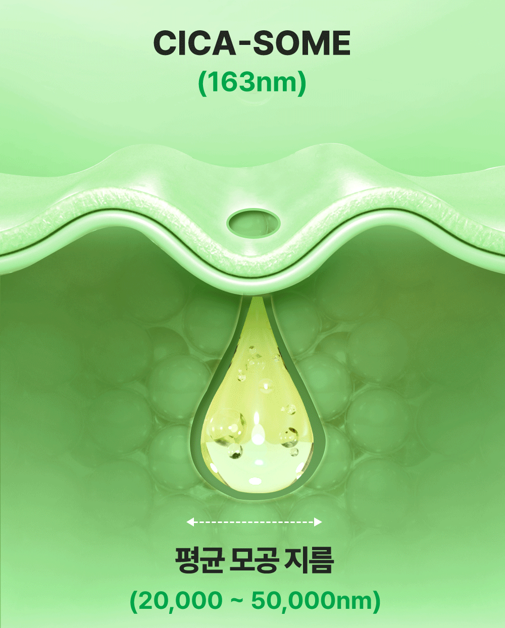 04. 시카좀클렌징폼150ml_모공지름.gif