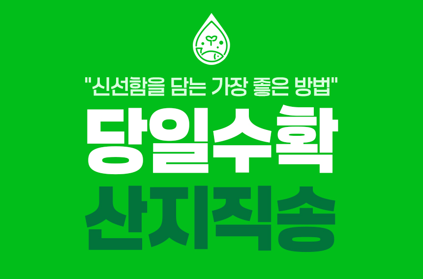 01_당일수확.jpg