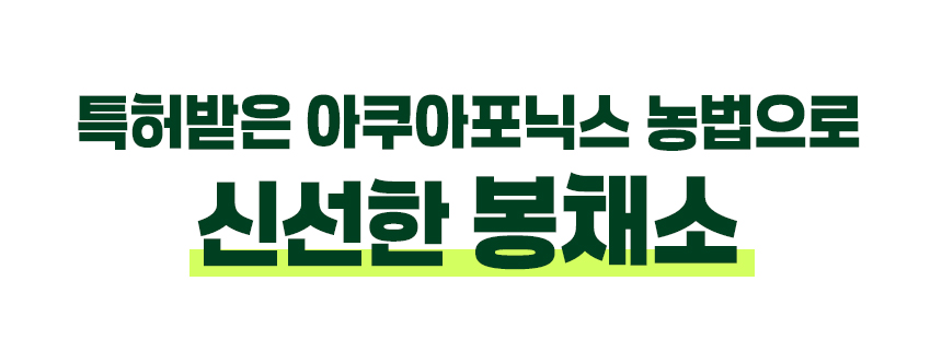 02_봉채소시작.jpg