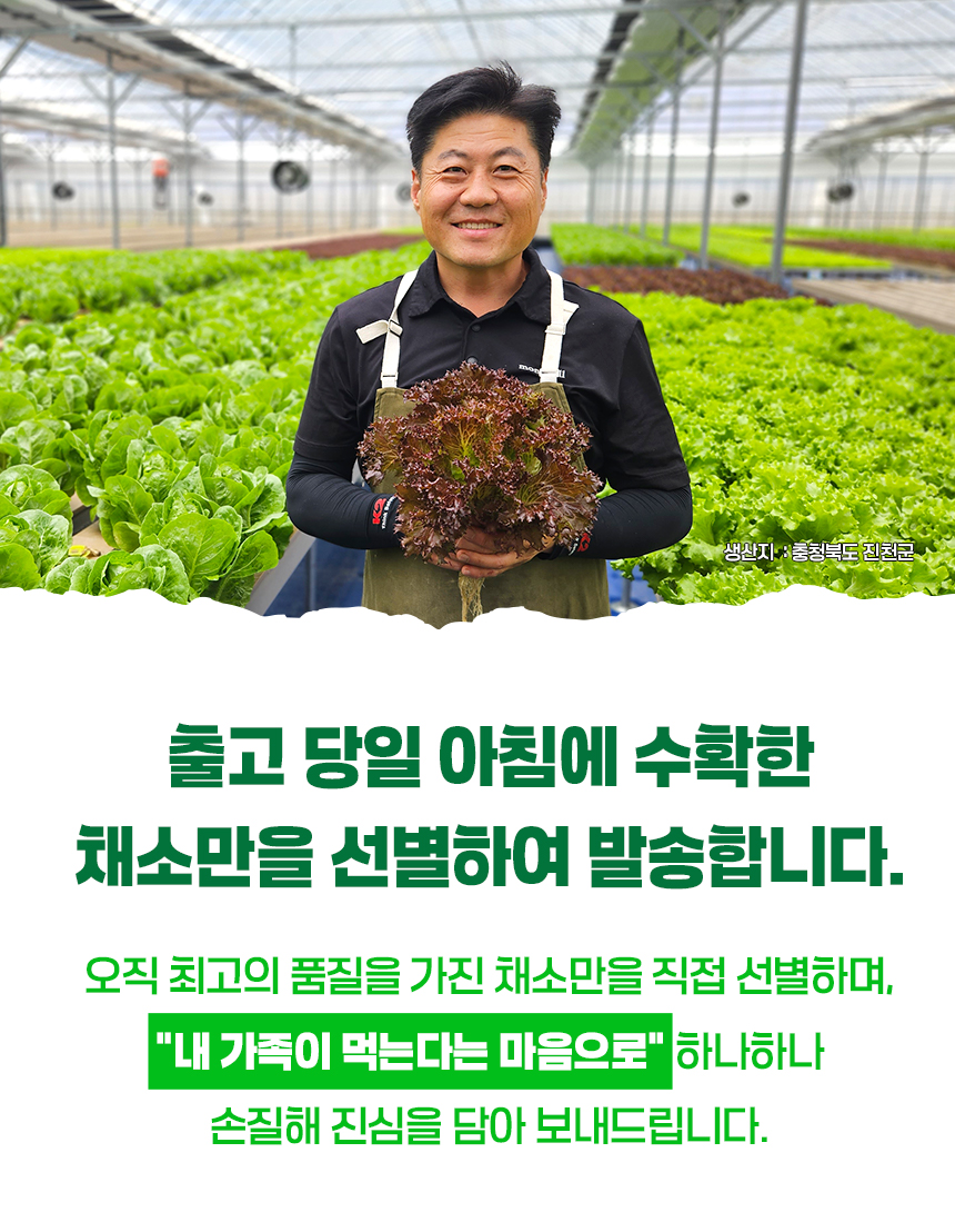 03_봉채소소개1.jpg