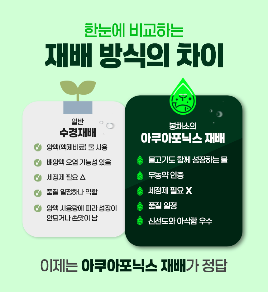 05-2_재배방식차이.jpg