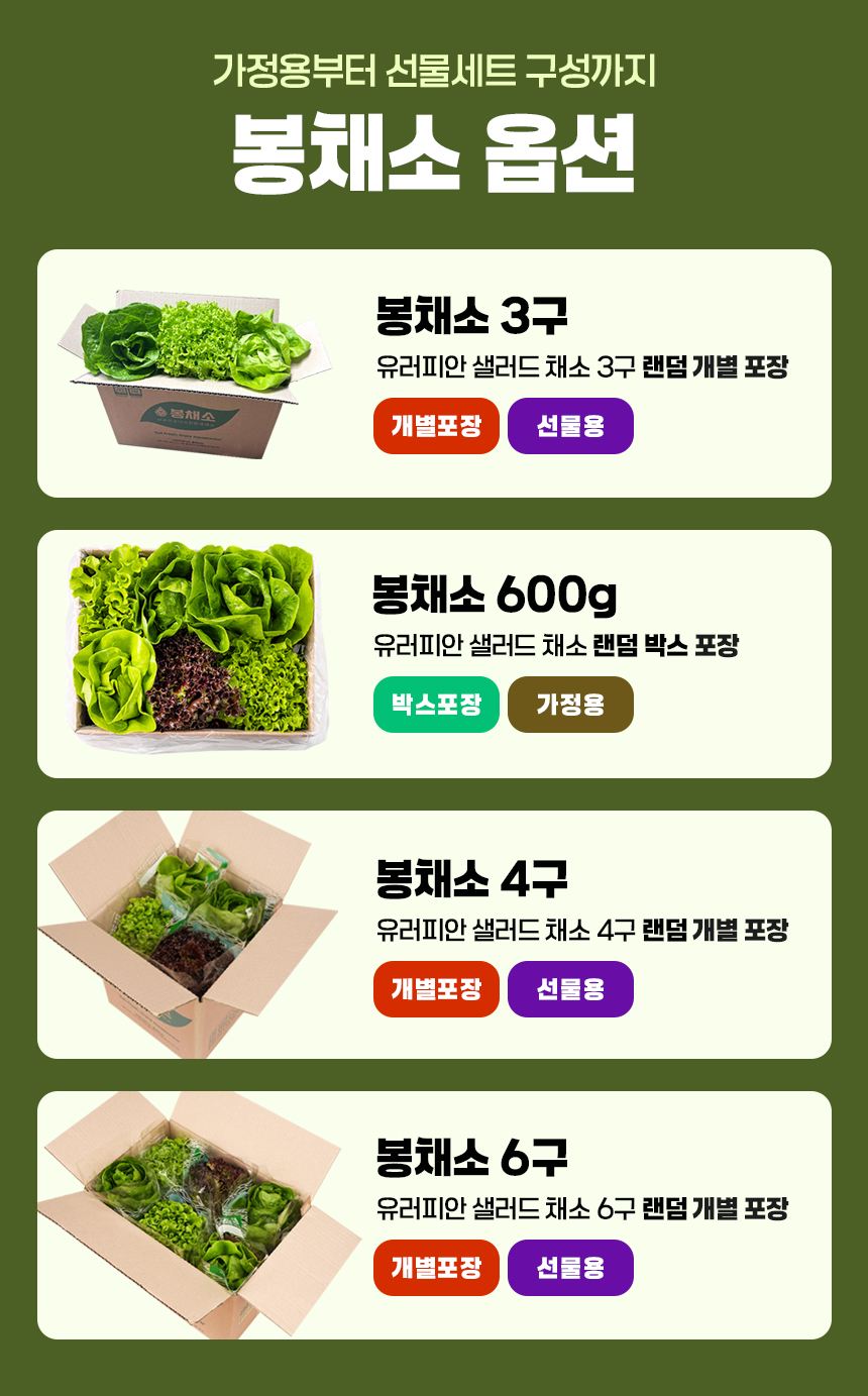 07_옵션.jpg