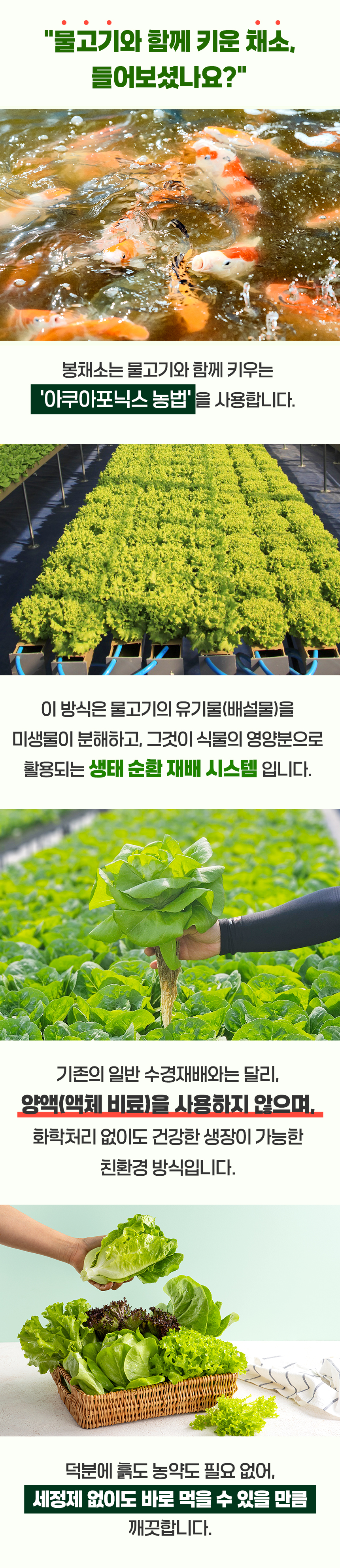 10_아쿠아포닉스.jpg