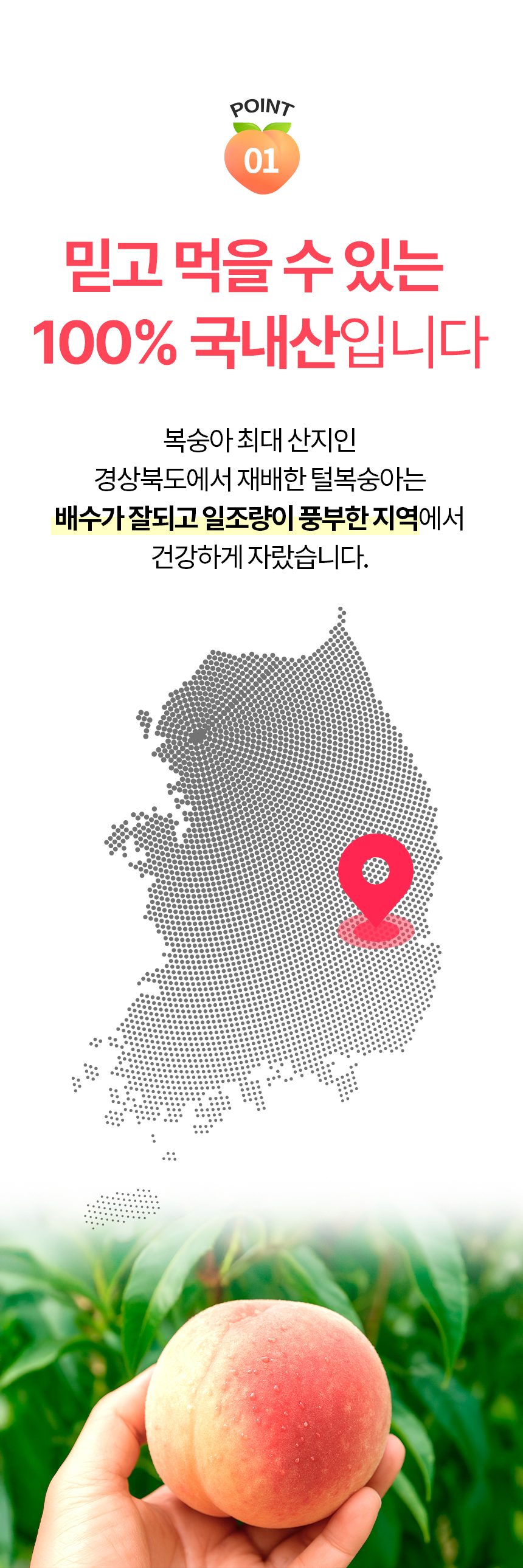 860_복숭아_05.jpg
