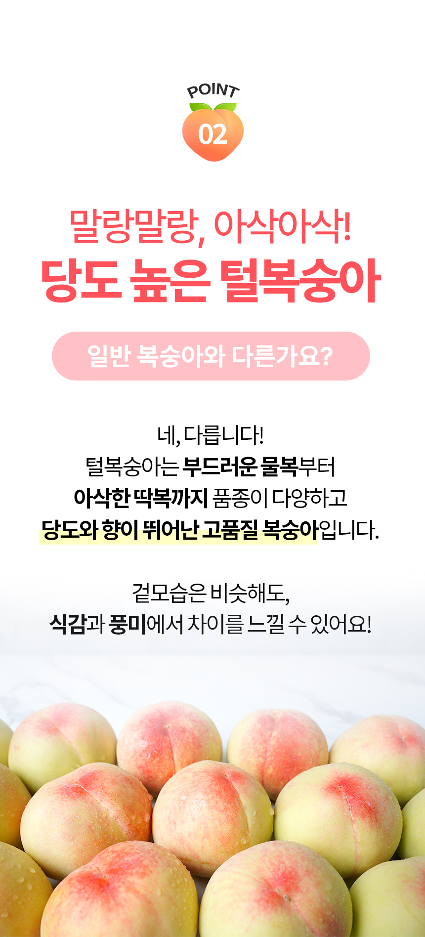 860_복숭아_06.jpg