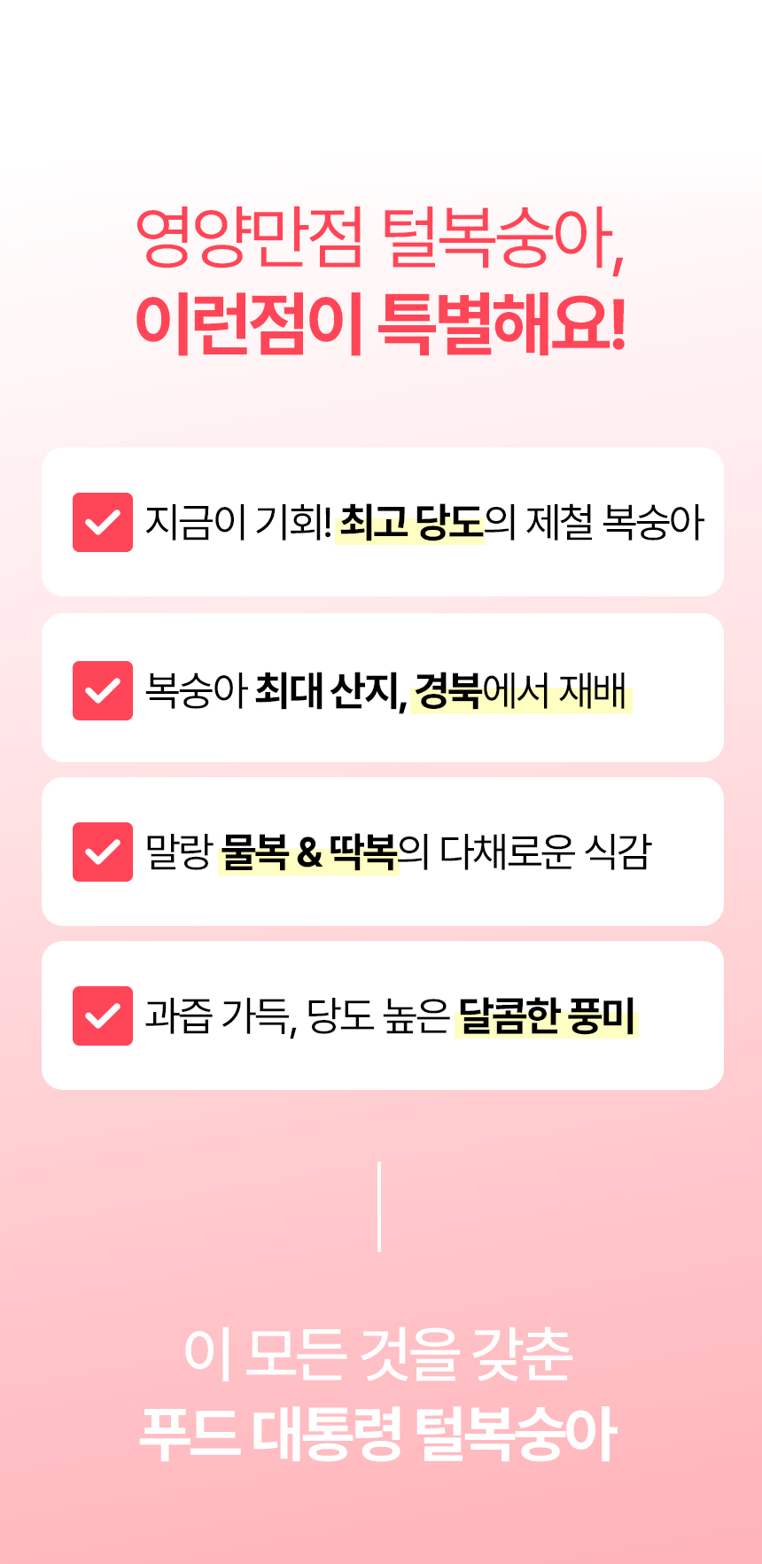 860_복숭아_07.jpg