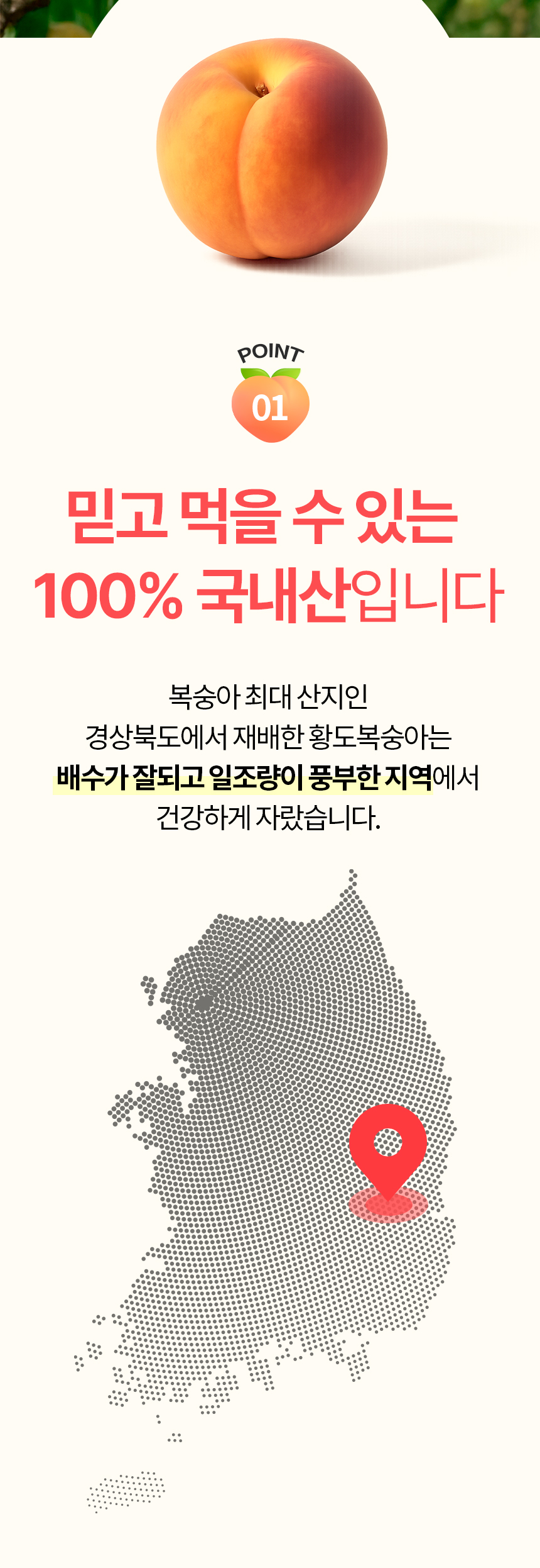 860_황도복숭아_03.jpg