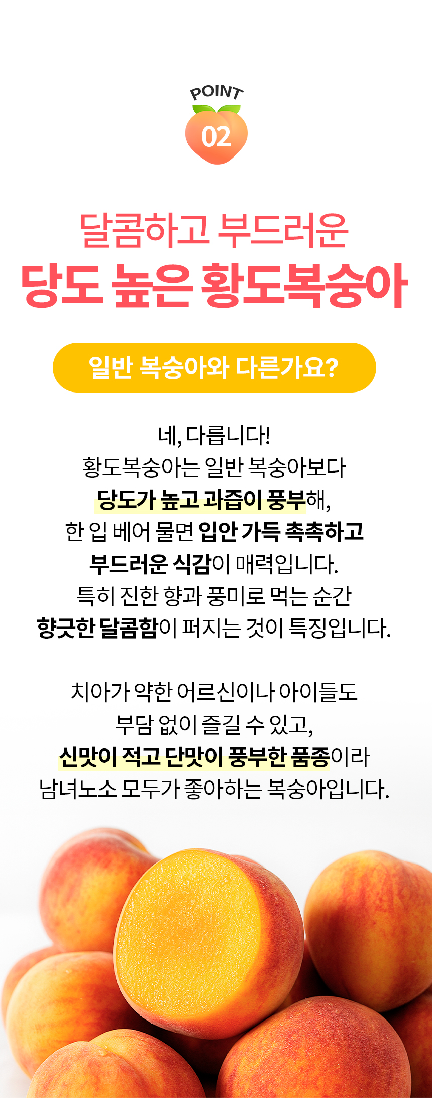 860_황도복숭아_04.jpg