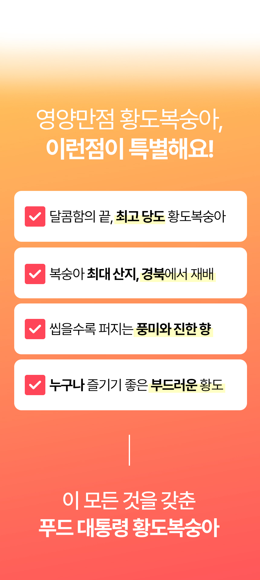 860_황도복숭아_05.jpg