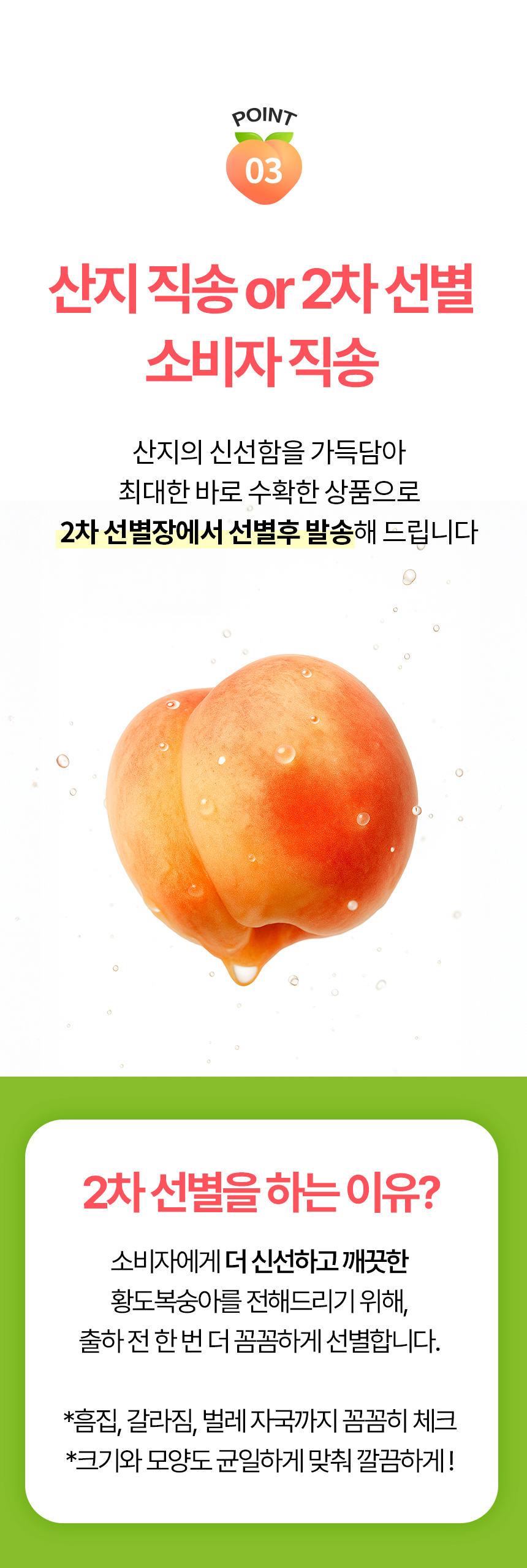 860_황도복숭아_06.jpg