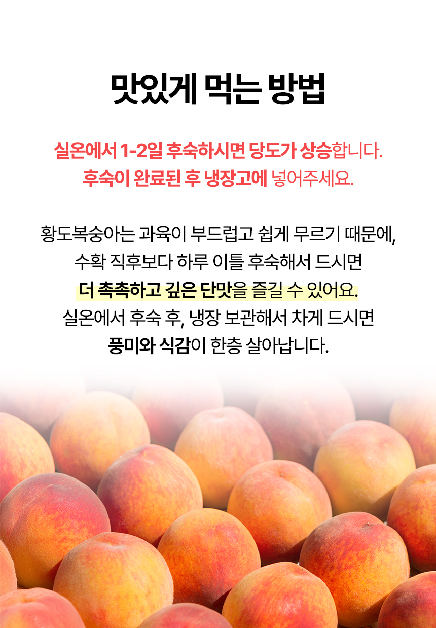 황도복숭아_마지막이미지1_01.jpg