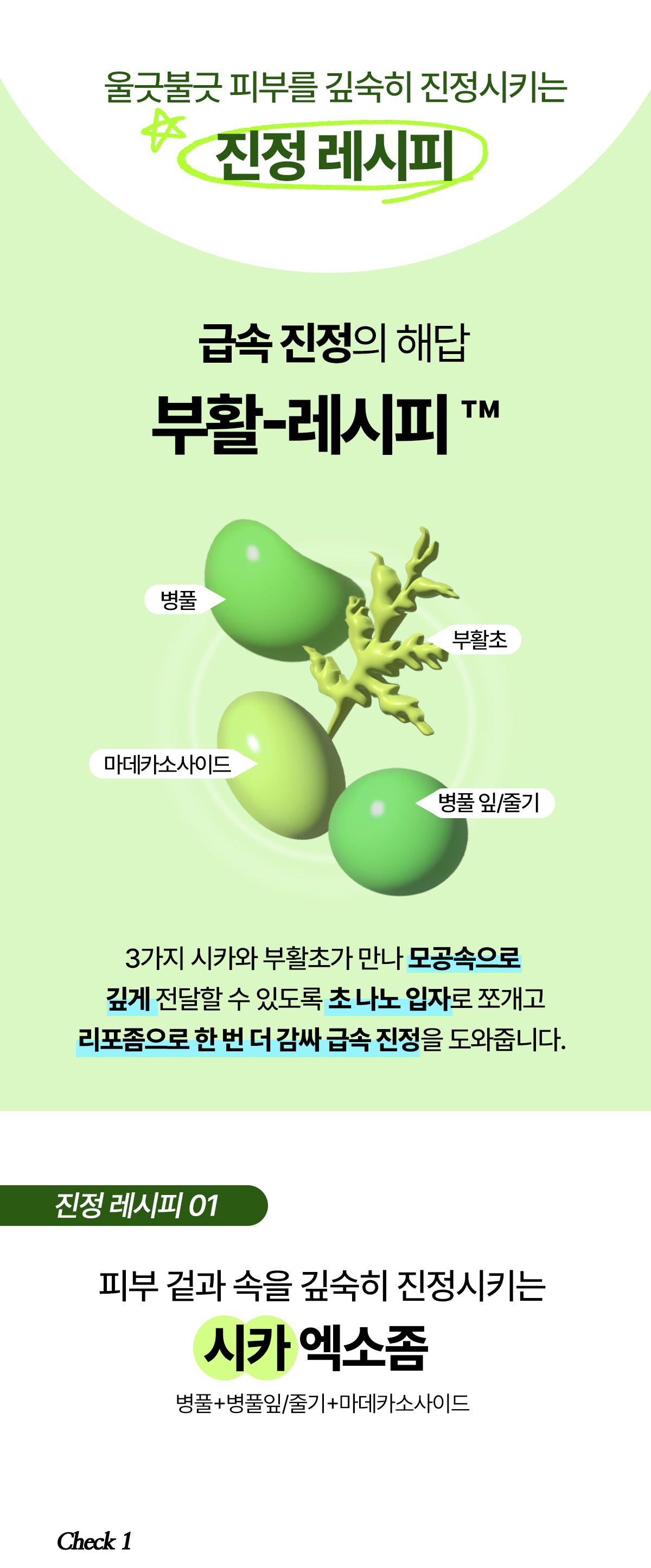 CicaYoon_03.jpg
