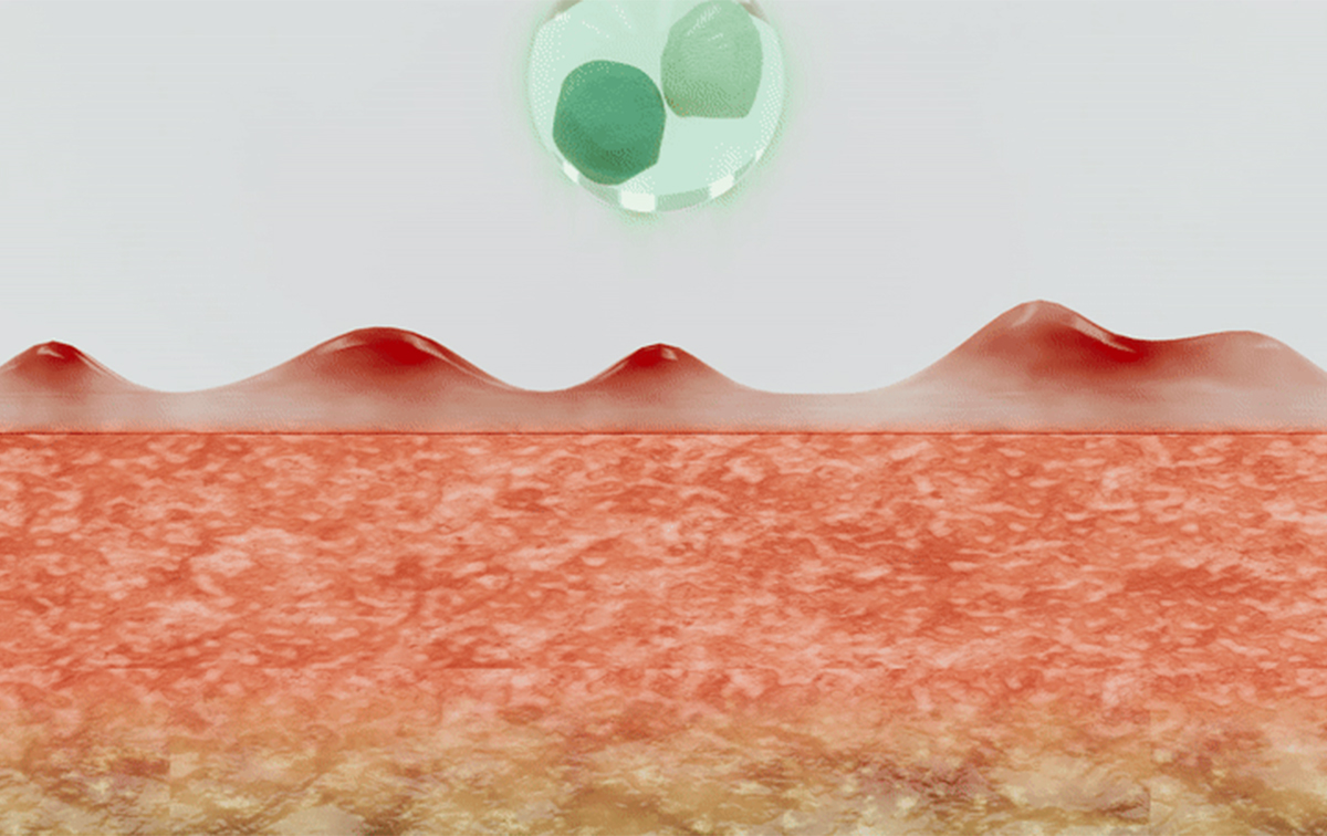 CicaYoon_04.jpg