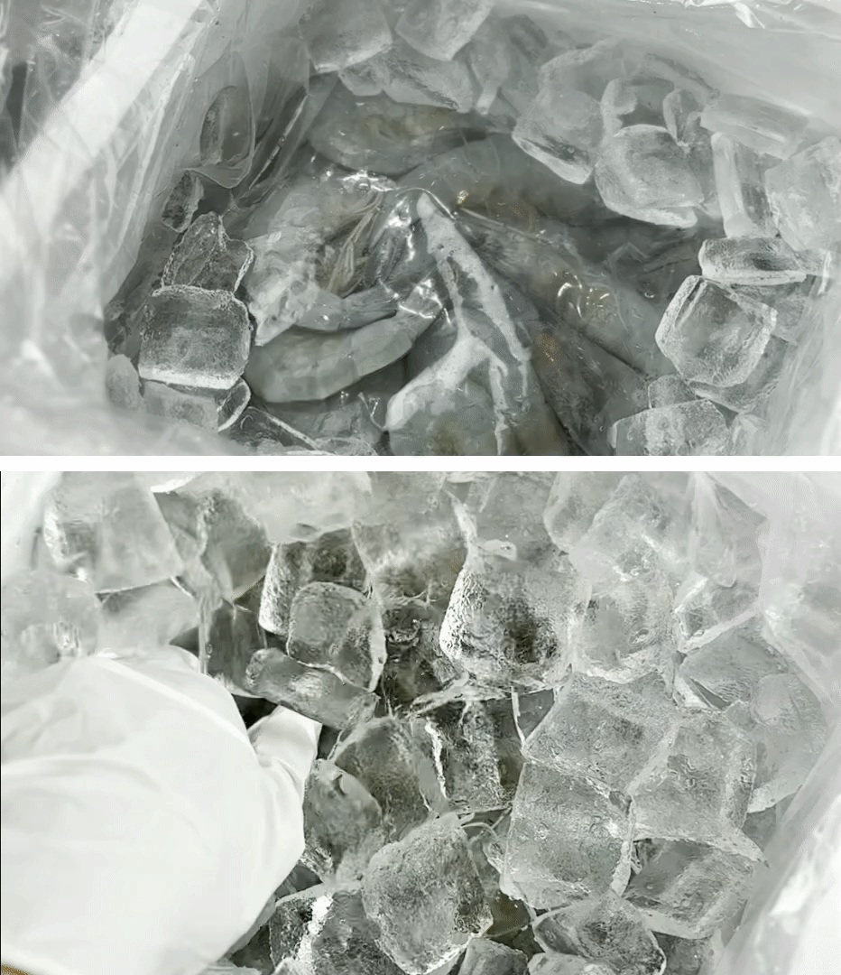 detail_08.gif