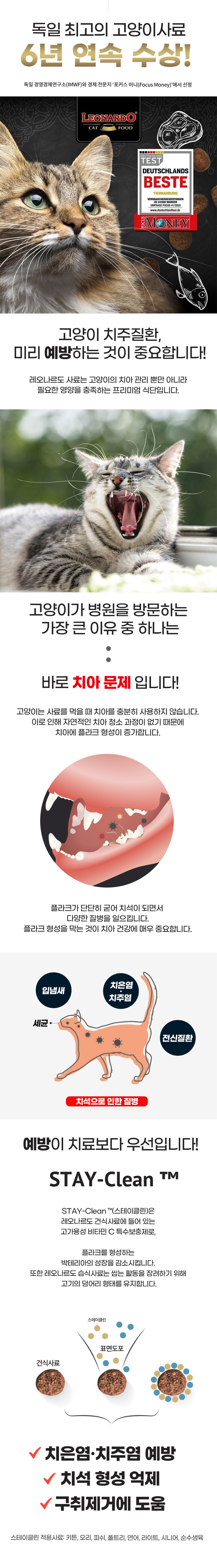 780_레오나르도_모음전_상단02.jpg