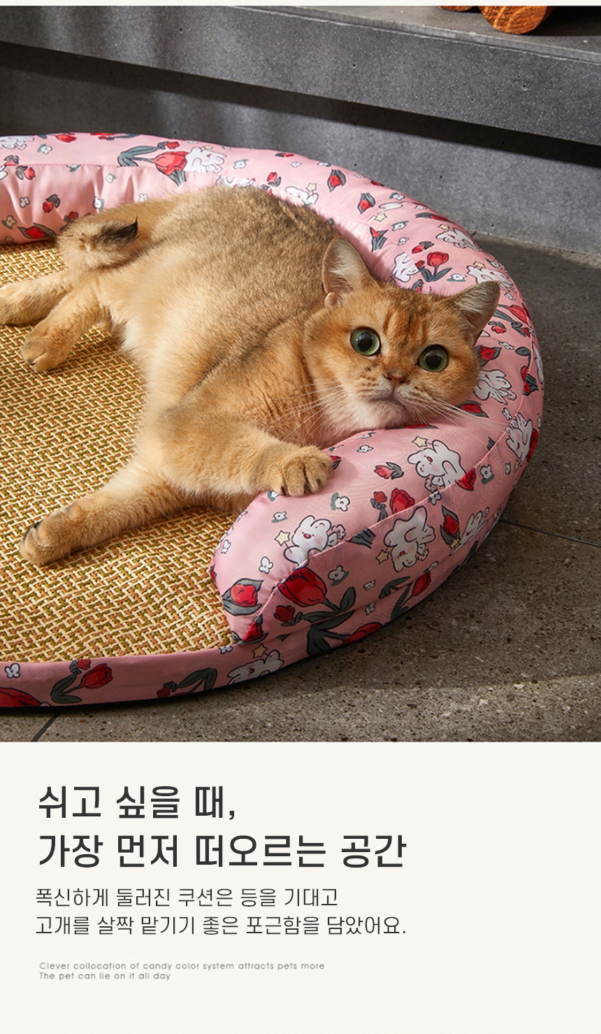 pet004_c.jpg