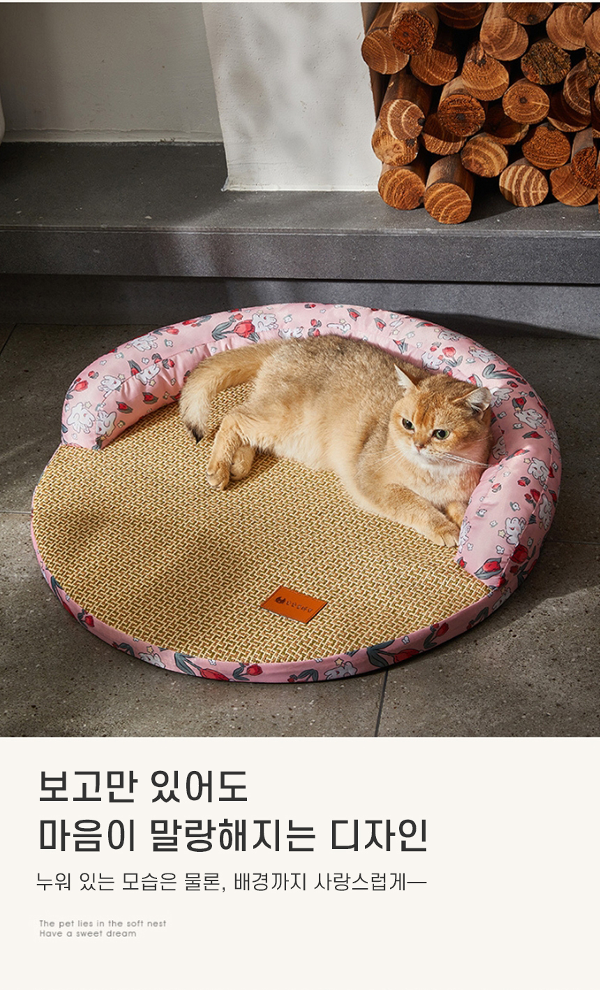 pet004_d.jpg