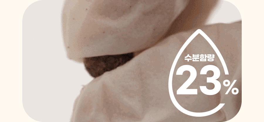 insectup_12.gif