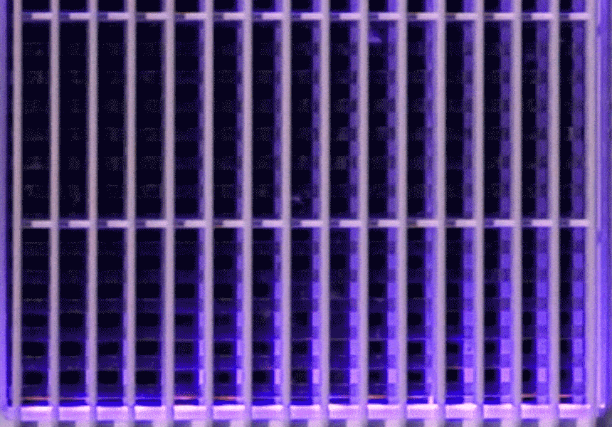 OIST-001WH_04.gif